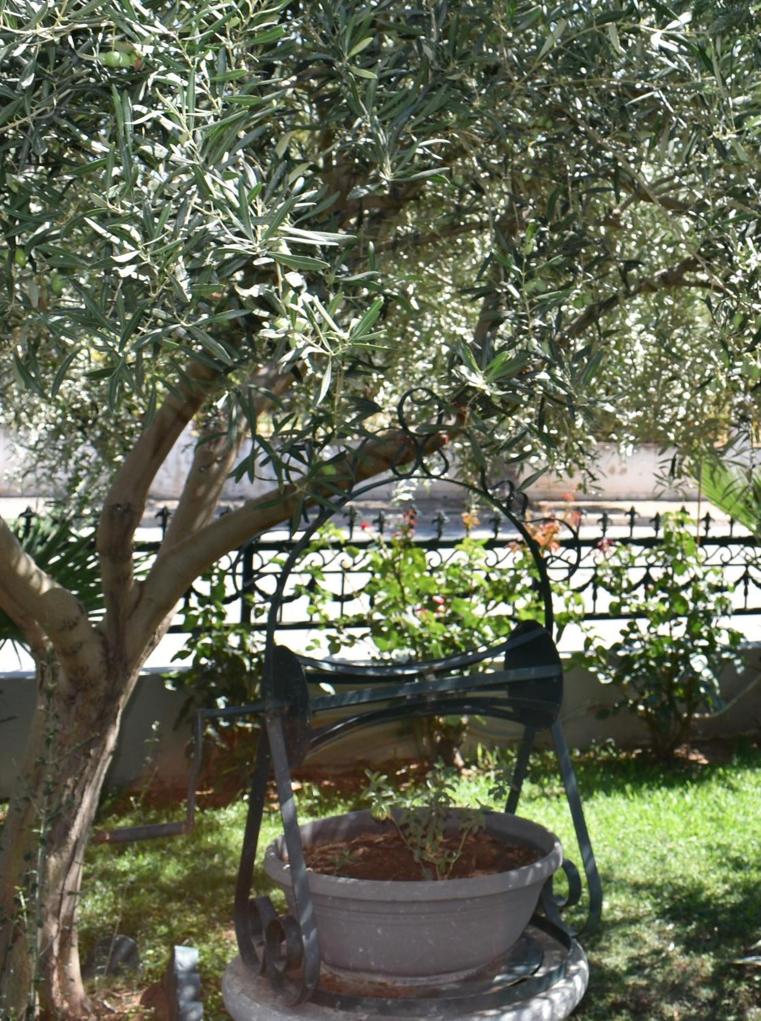 Ni & Νa Apartment Αλεξανδρούπολη Εξωτερικό φωτογραφία
